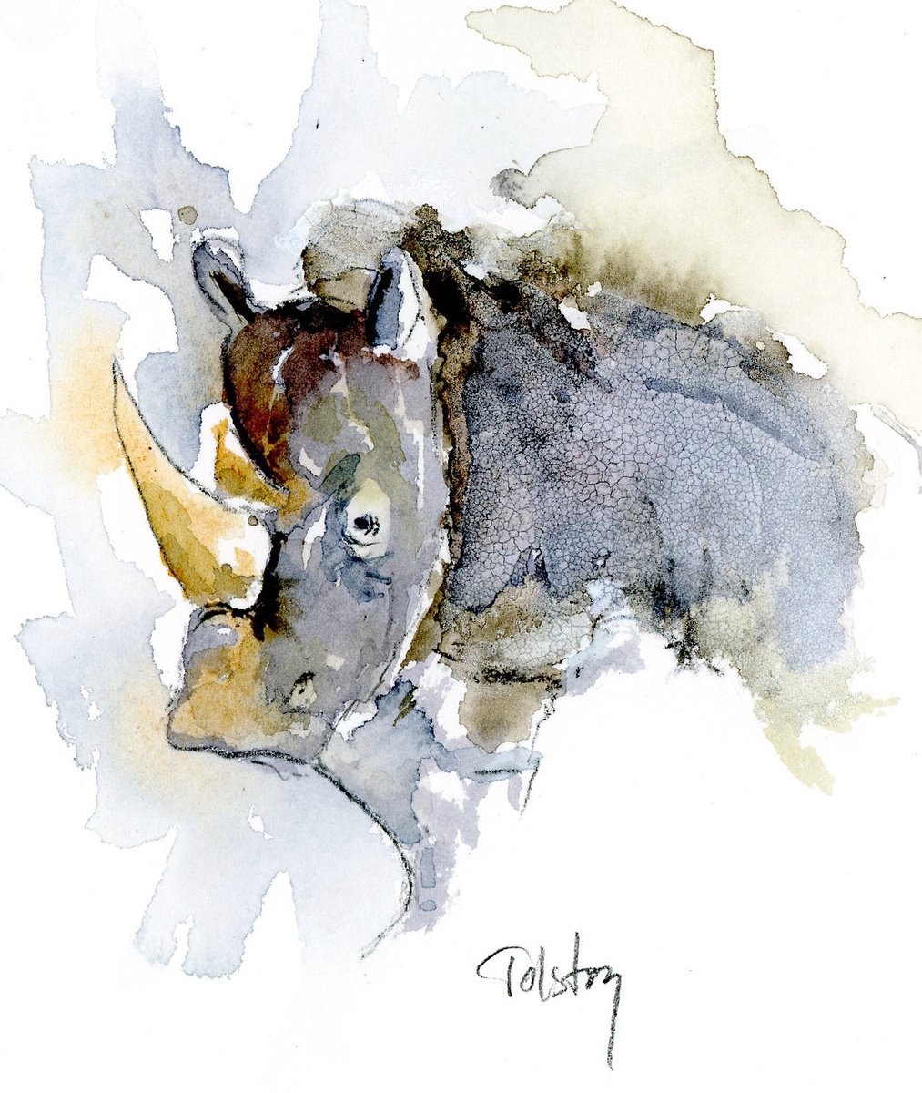 Impressionistic Animal Watercolour By Alex Tolstoy, 10 X 12, Rhino Coming, Original Artwork