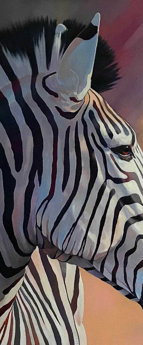 Dreamy zebra by Andrii Roshkaniuk