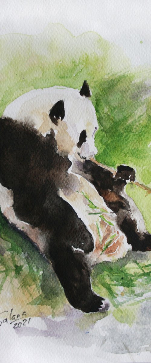 Panda II - Animal portrait /  ORIGINAL PAINTING by Salana Art / Svetlana Samovarova