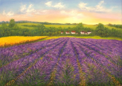 Sunset at lavender field in Provence by Ludmilla Ukrow