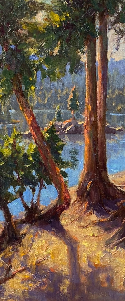 Woods Lake Pines by Tatyana Fogarty