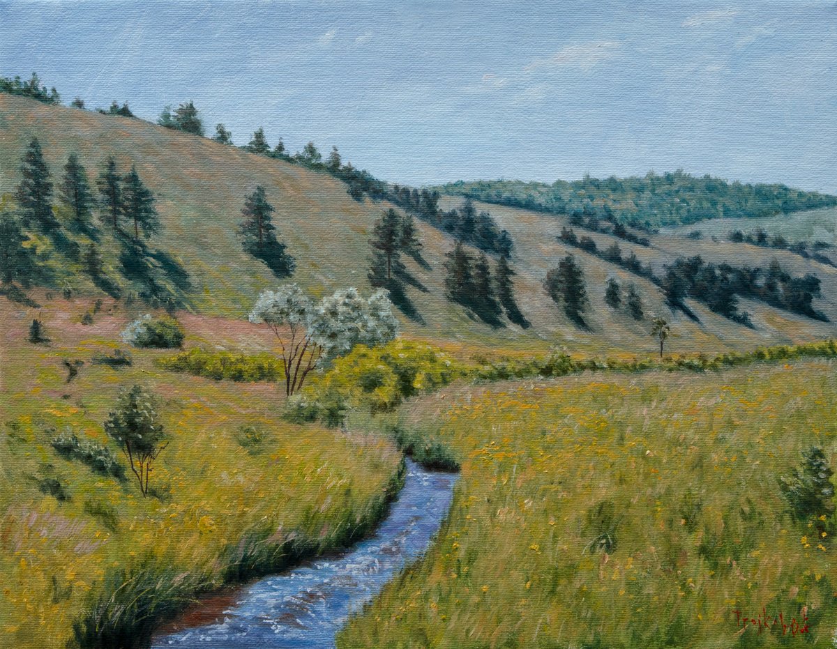 Endless Meadow By Dejan Trajkovic, 24 X 20, Artwork For Sale On Artfinder
