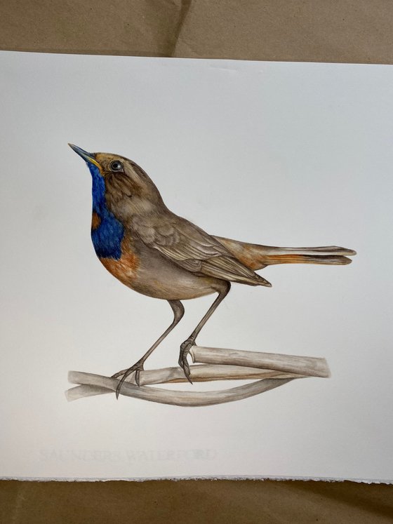 The Power of Intention