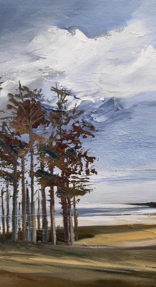 Pines at Newborough beach by Steve Keenan