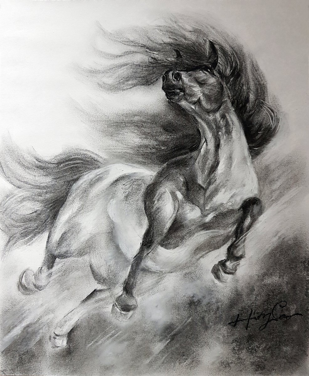 Expressive Animal Charcoal Drawing By Henry Cao, 14 X 17, Galloping Horse, Original Artwork