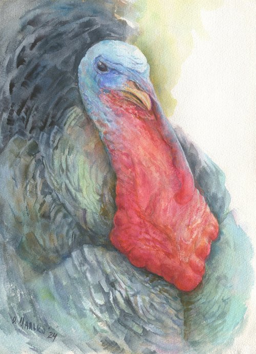 Big Boss. Turkey / ORIGINAL watercolor 11x14in (28x38cm) by Olha Malko
