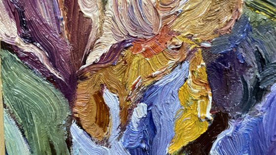 When the irises were big