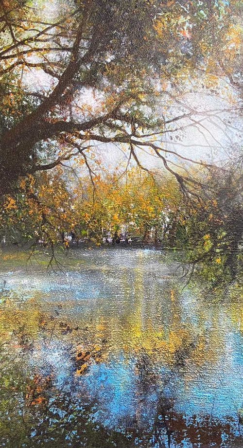 'Reflections of Autumn Light' by Jo Starkey