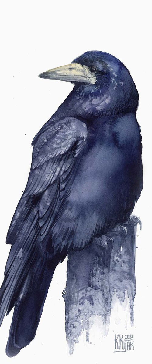 Rook with Sunny Reflections by Karolina Kijak