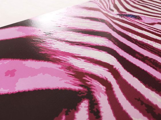 Pink Zebra