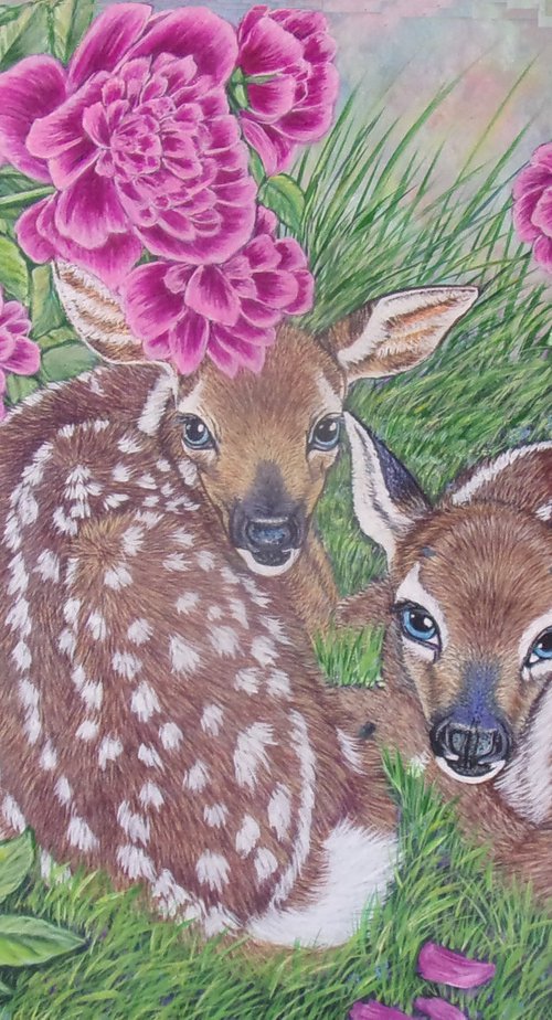 White-tailed deer fawns among Peonies by Sofya Mikeworth