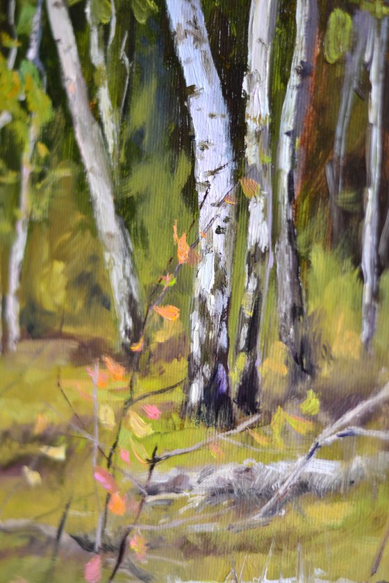 Birch grove