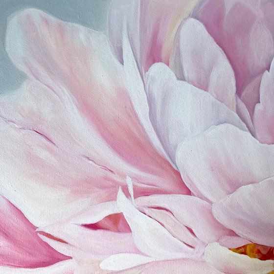 Pink Peony
