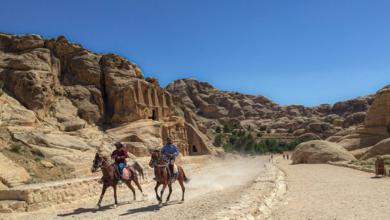 JORDANIAN HORSES