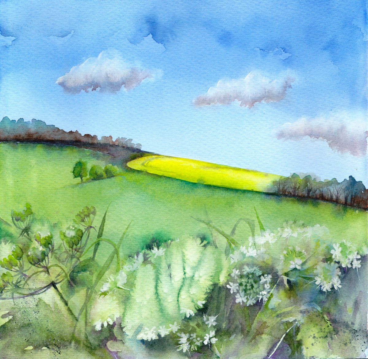 Clouds and Cow parsley, Original landscape painting by Anjana Cawdell