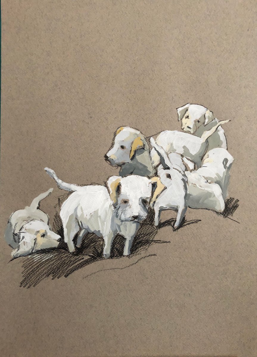 Puppies by OLGA BELO