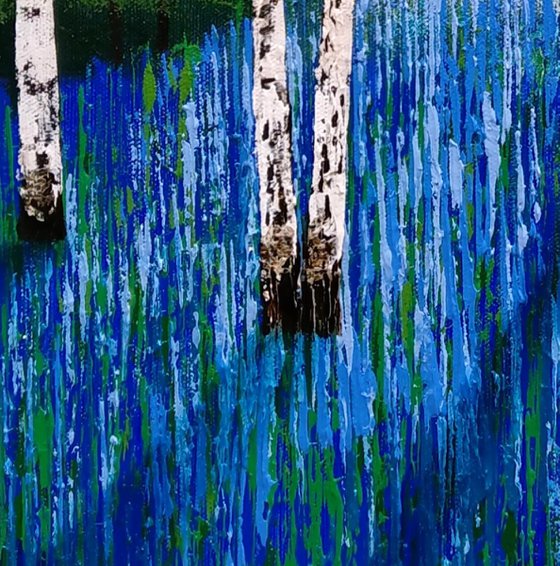 Birch Wood Blue