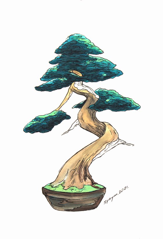 BONSAI IV