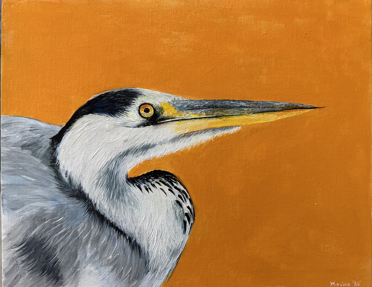 Heron by Maxine Taylor