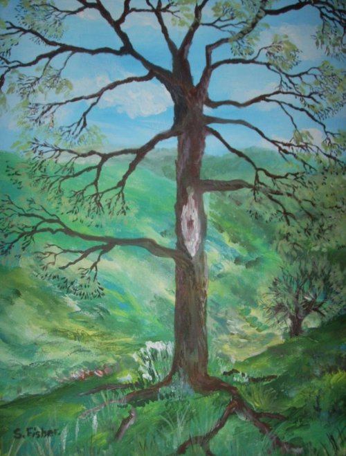 oak tree in spring by Sandra Fisher