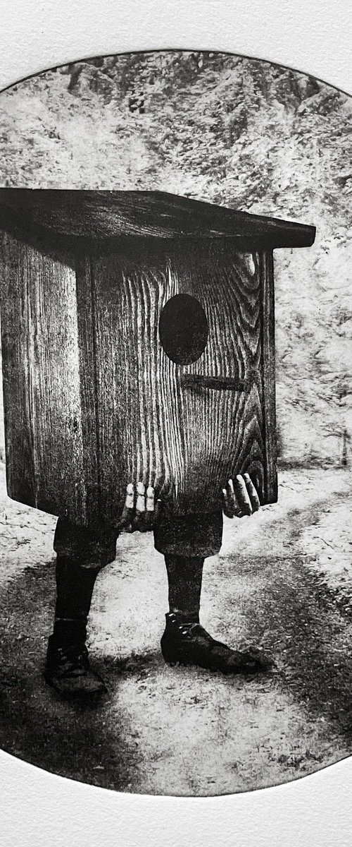 Birdbox III by Jaco Putker