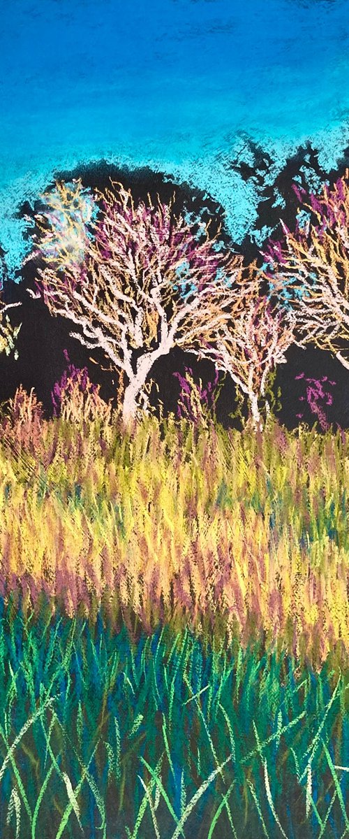 White trees by John Cottee