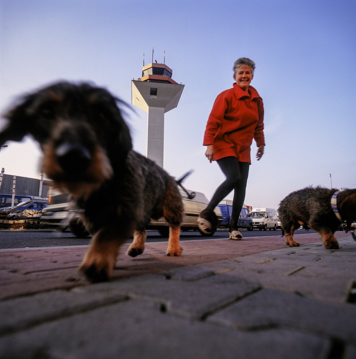 DOG PERSPECTIVE - CONTROL TOWER FRANKFURT by Robbert Frank Hagens