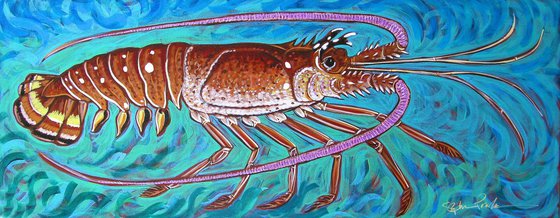 Colorful Spiny Lobster