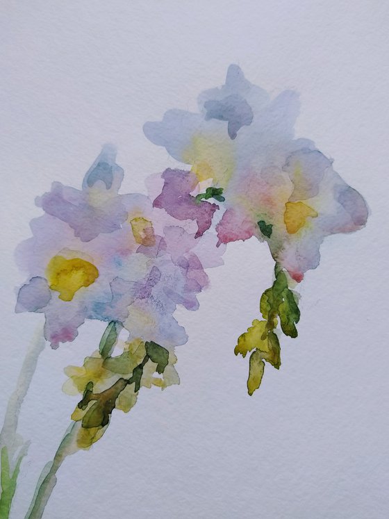 Little bunch of freesias. Original watercolour painting.