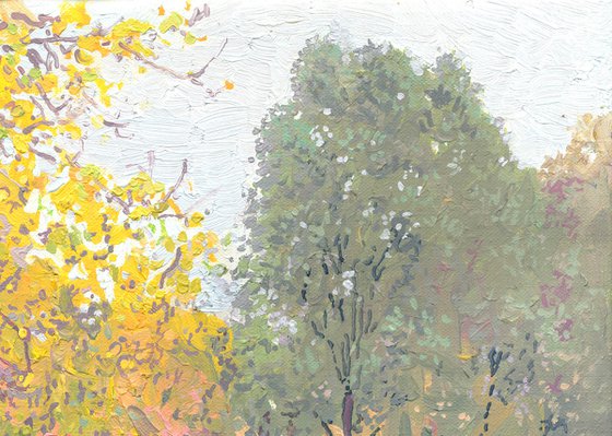 A boulevard in Maryino in the rain. October