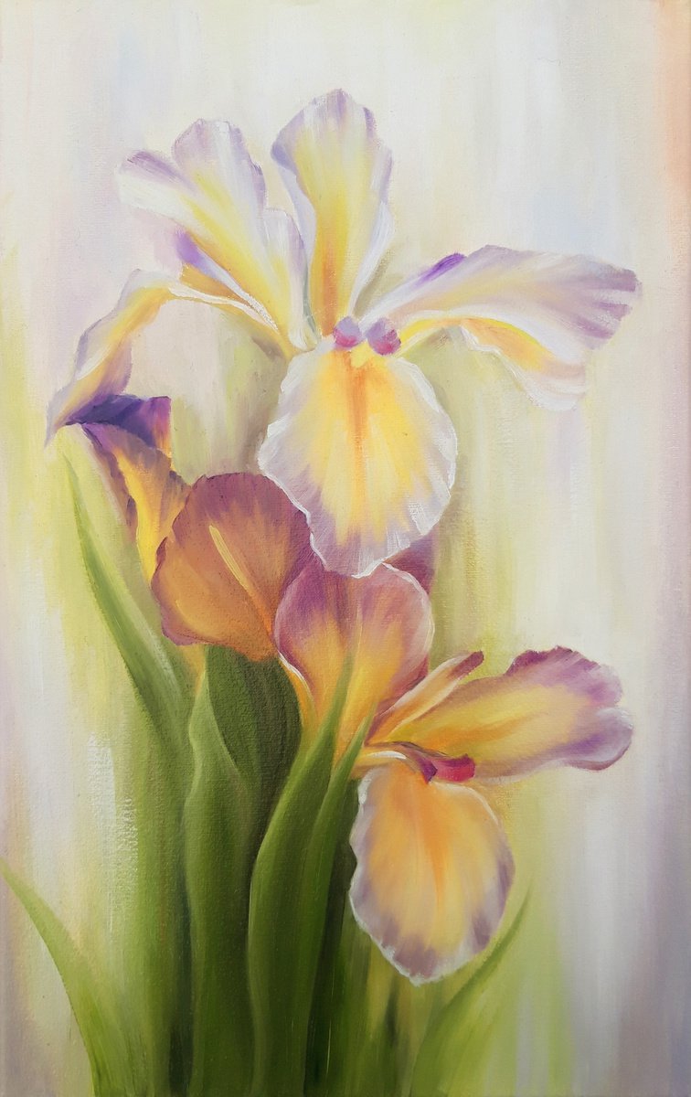 Sunny irises, oil original artwork, small floral painting by Anna Steshenko