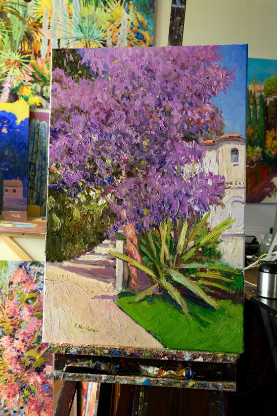 Jacaranda Tree