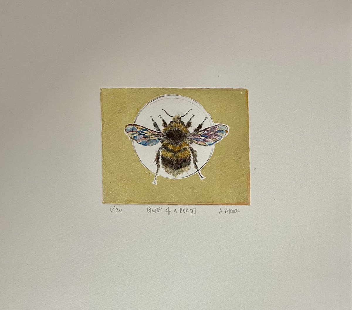 Ghost of a Bee VI by Anna Alcock