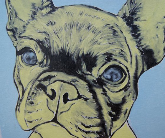 Yellow Frenchie ( oil on paper )