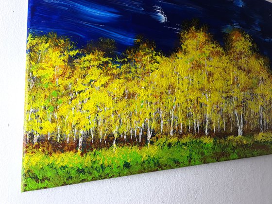Autumn birch forest