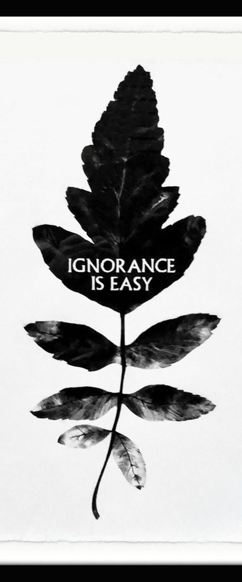Ignorance Is Easy (Charcoal drawing - framed) by Paul West