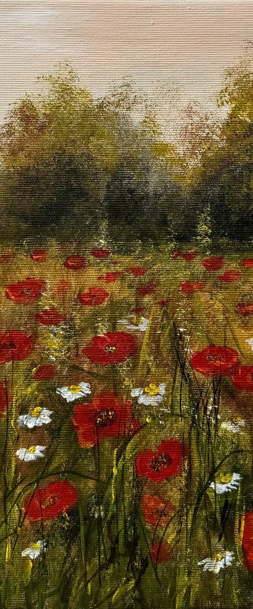 Summer Poppy Field by Tanja Frost