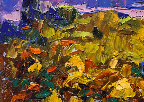 The edge of a plowed field