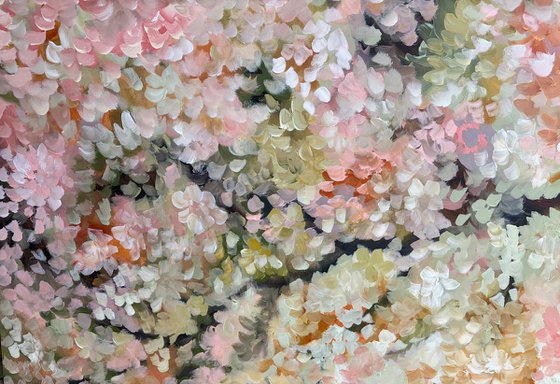Blossoms