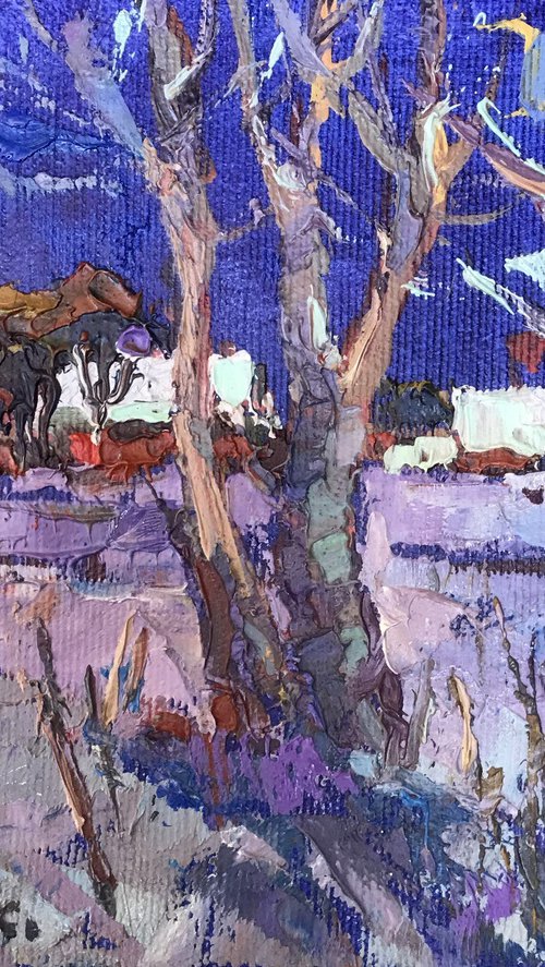 Moonlit Night by Kalenyuk Alex