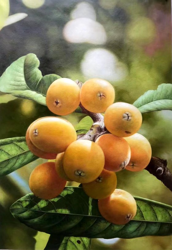 Still life:Loquats on the branches