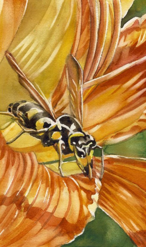 wasp in daylily by Alfred  Ng
