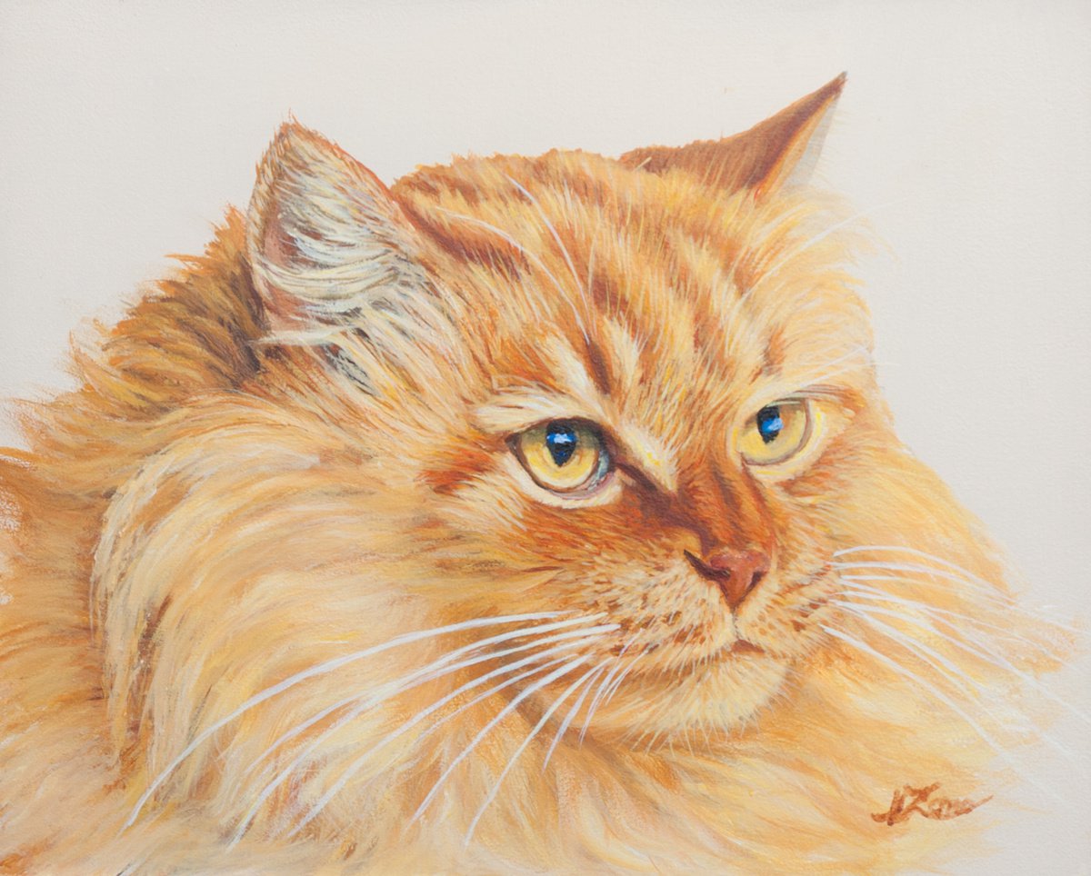 Retrato de gato amarillo by Norma Beatriz Zaro