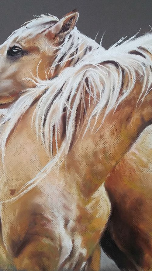 Palomino II by Magdalena Palega