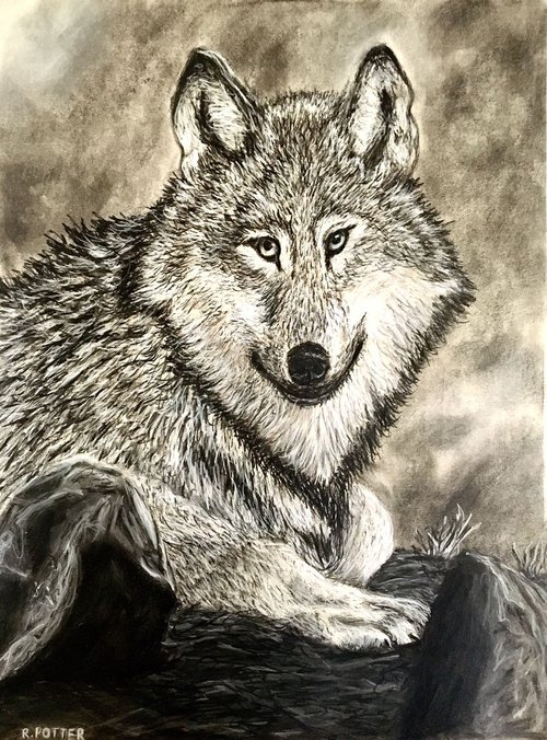 Wolf by Robbie Potter