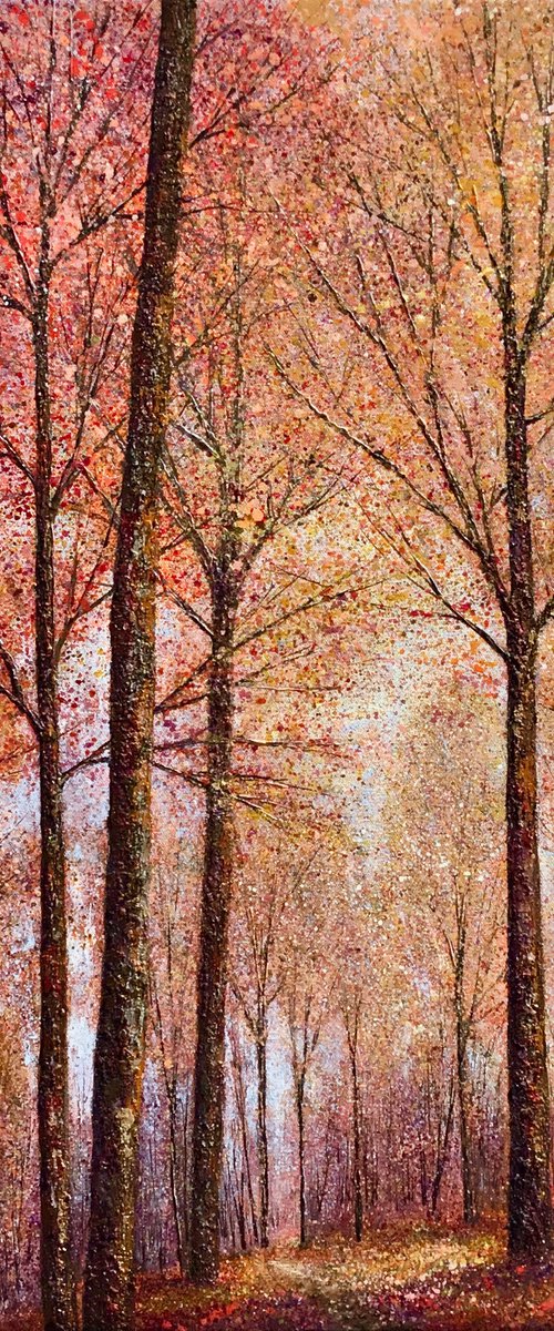 Light through Autumn trees by Chris Bourne