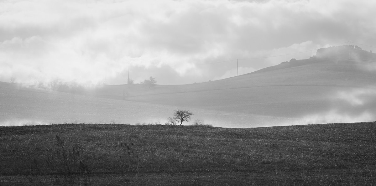 The Solitary Sentinel by Sergio Capuzzimati