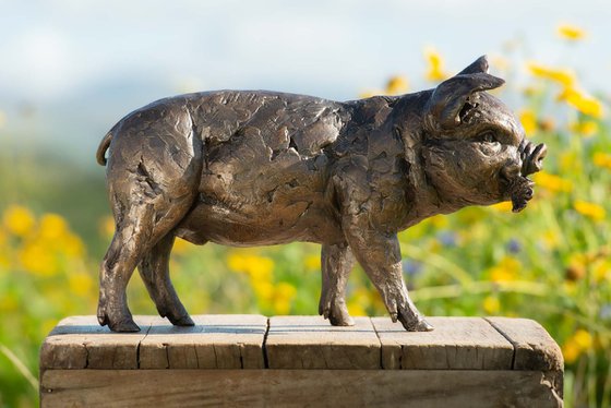 Standing Piglet BR