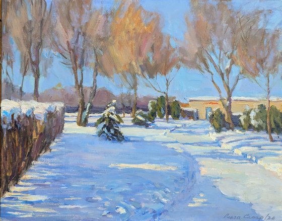 Winter sun day