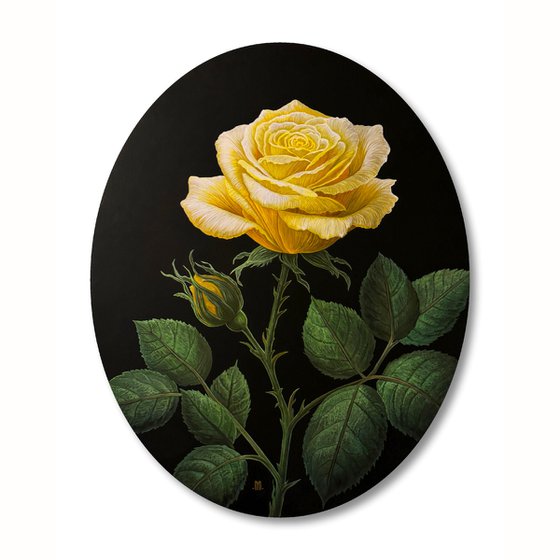 Rosa Xanthina (Yellow Rose)